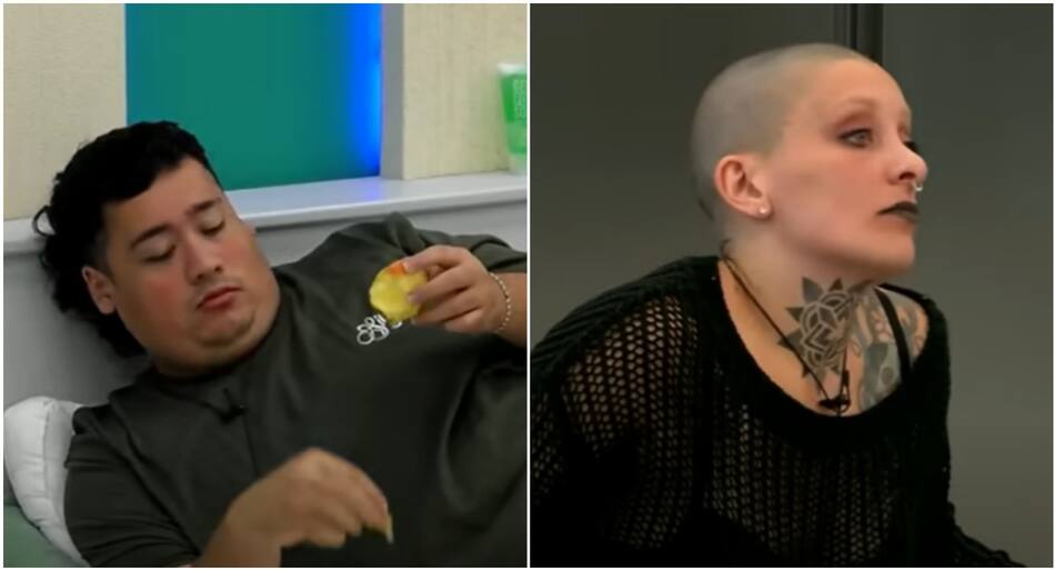 Manzana y Furia de Gran Hermano. Fotos: captura Telefe.