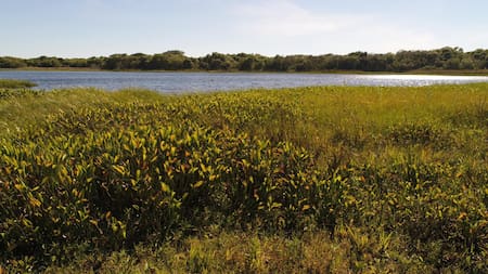 Parque Nacional Mburucuyá. Foto: Guías del Parque Nacional Mburucuyá.