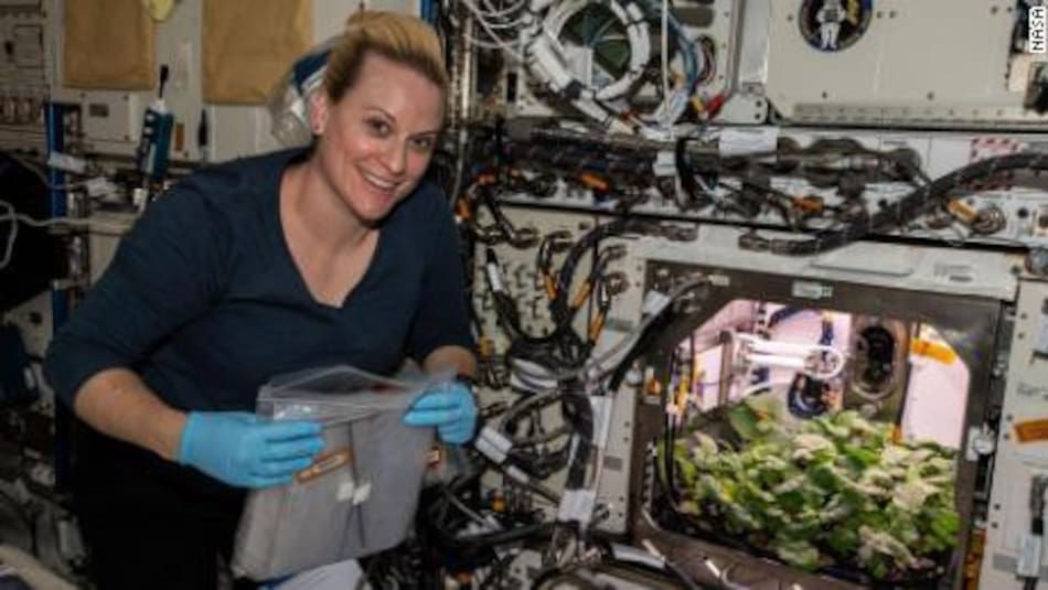 Estudios dentro de la ISS, NASA