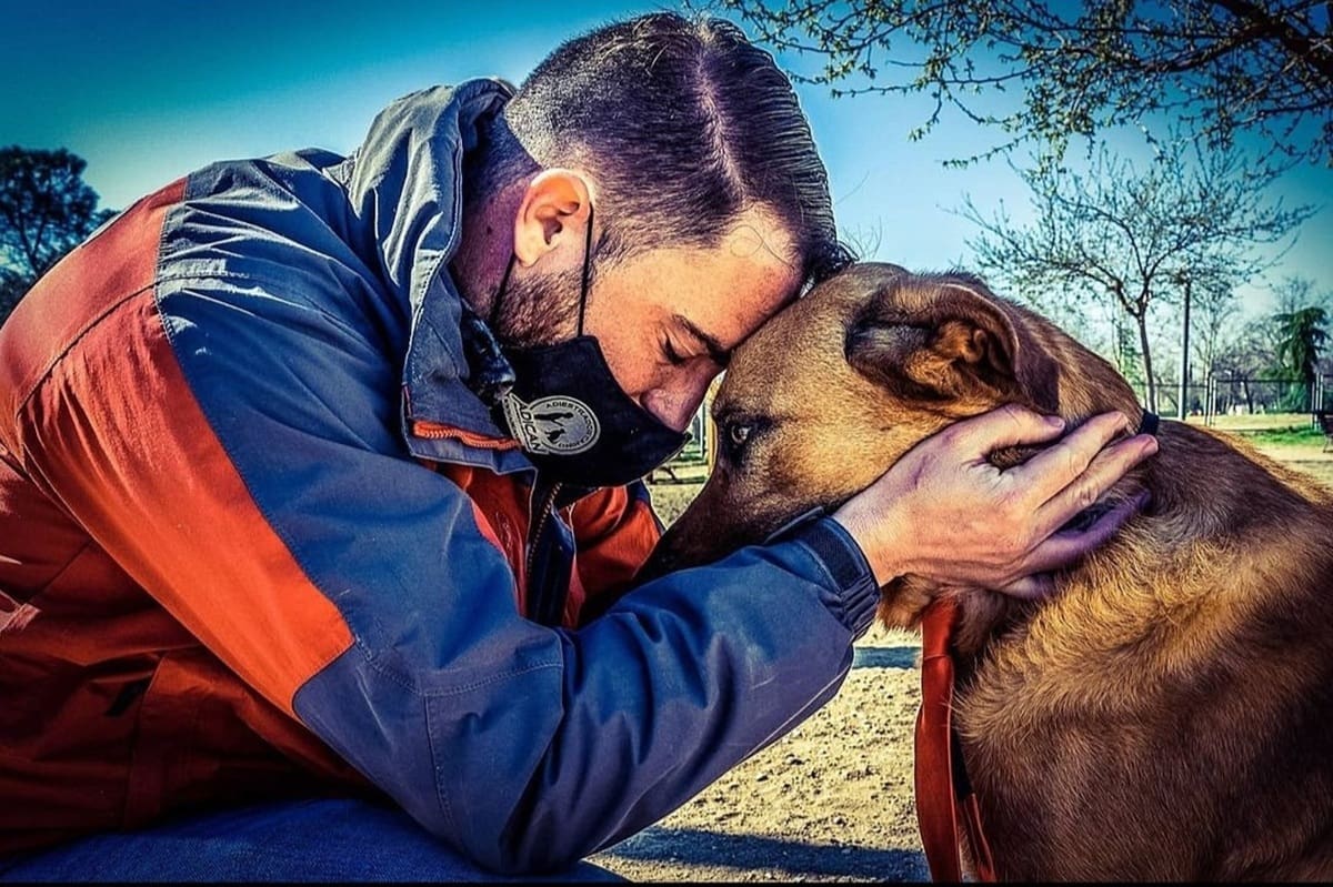 Mareño advierte que el problema no está en querer a la mascota ni en recibirla con afecto, sino en el momento en que se entrega esa respuesta.