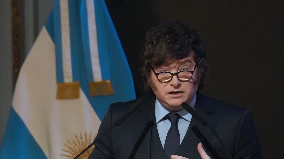 Javier Milei: “Estamos pagando muy caro la locura de los pañuelitos verdes”