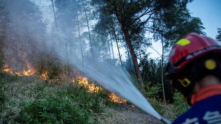 Incendios en China_Reuters