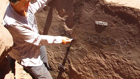 Hallazgos en La Rioja. Foto: Télam