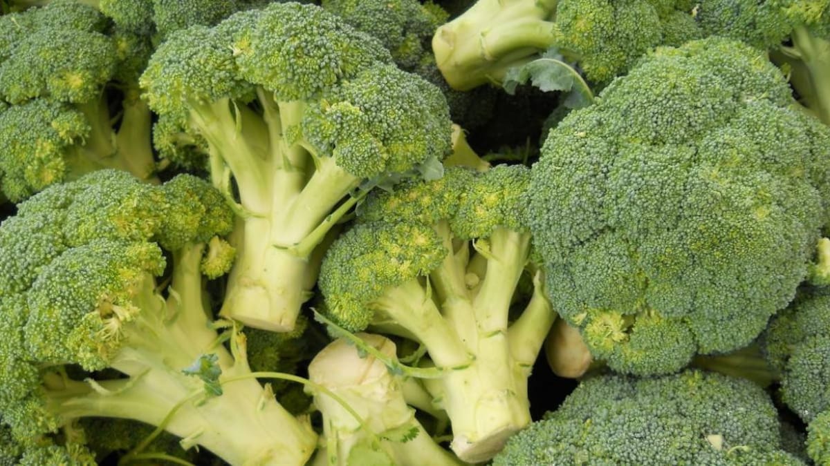 Brócoli: propiedades y beneficios del superalimento más popular