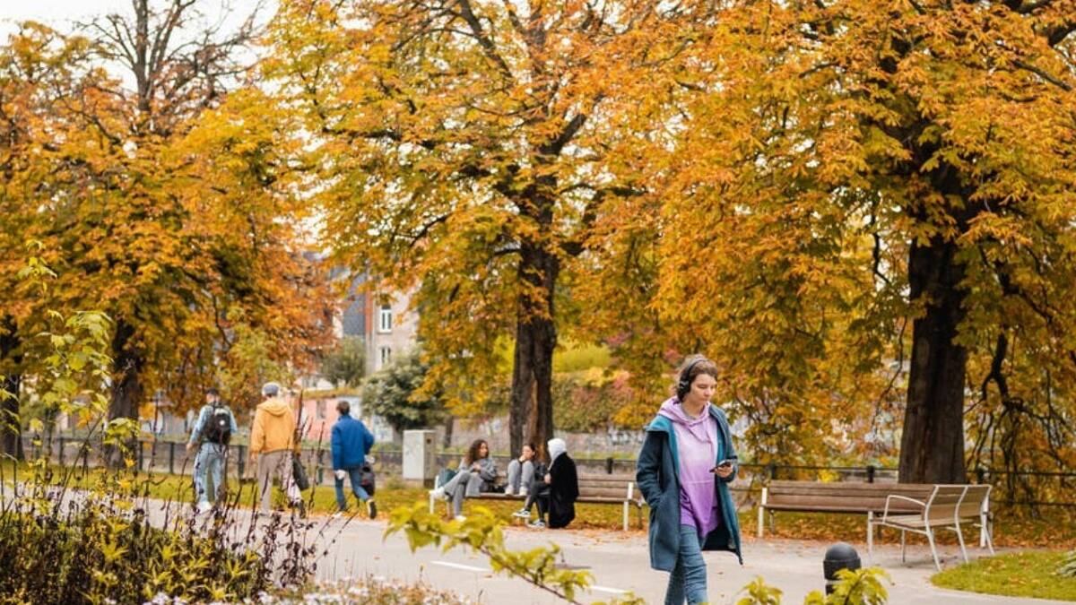 El SMN reveló su pronóstico trimestral para el otoño en Buenos Aires.