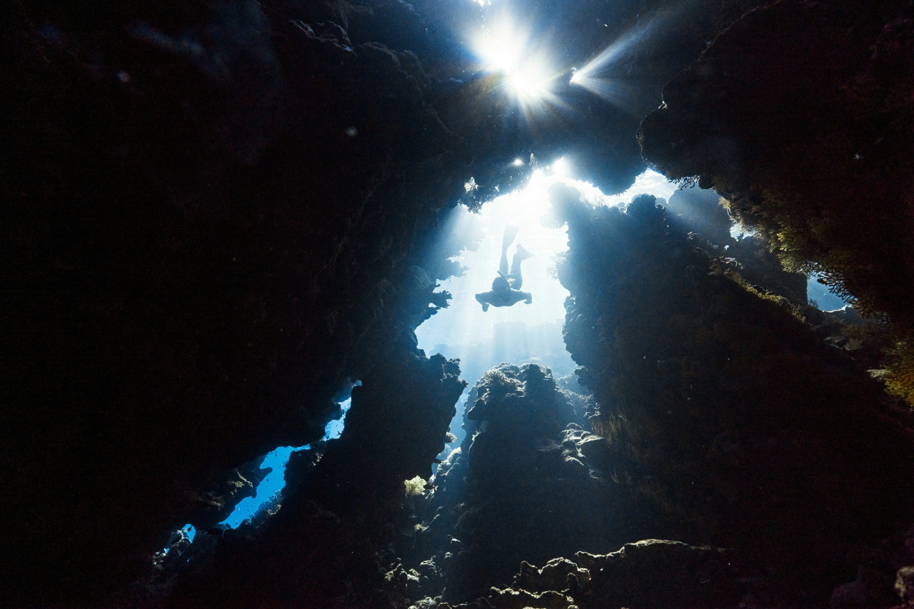El continente que se partirá: África dará origen al sexto océano. Foto: Unsplash.