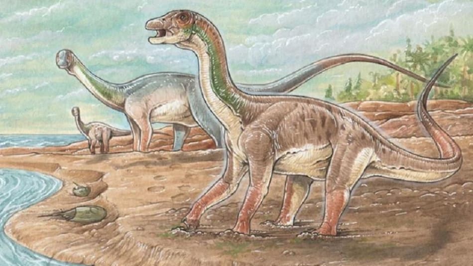 Científicos descubren patinadas fosilizadas en Neuquén, que tuvieron lugar hace 130 millones de años (Conicet)