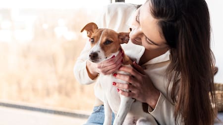 La castración en perros y las consecuencias en su salud: un estudio reveló los efectos en su longevidad