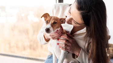 Lo dicen los expertos: a qué edad son viejitos los perros, según los veterinarios