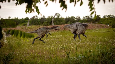 No fue solo un meteorito: un estudio reveló el evento desconocido que extingió a los dinosaurios