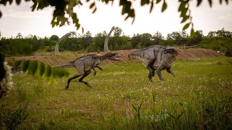 El cambio climático, el factor oculto de la extensión de los dinosaurios. Foto: Unsplash