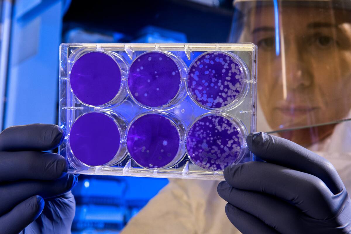 Ciencia, científicos, medicina, ceélulas madre. Unsplash