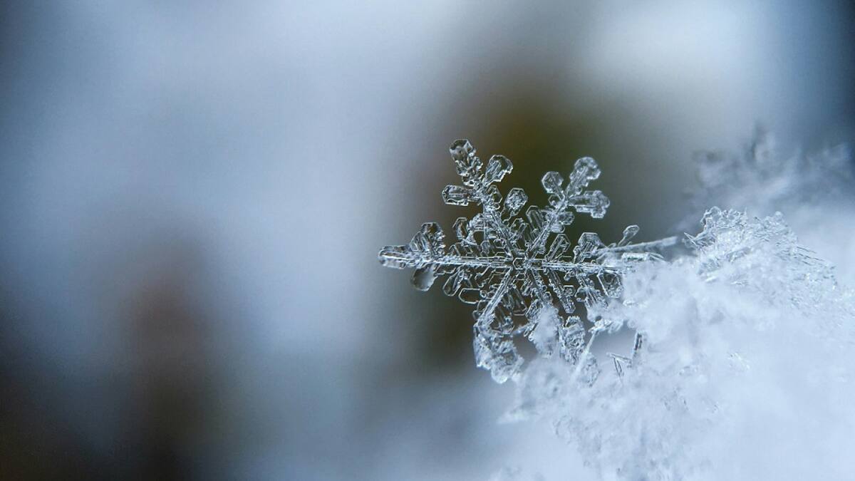 Copo de nieve. Foto: Unsplash.