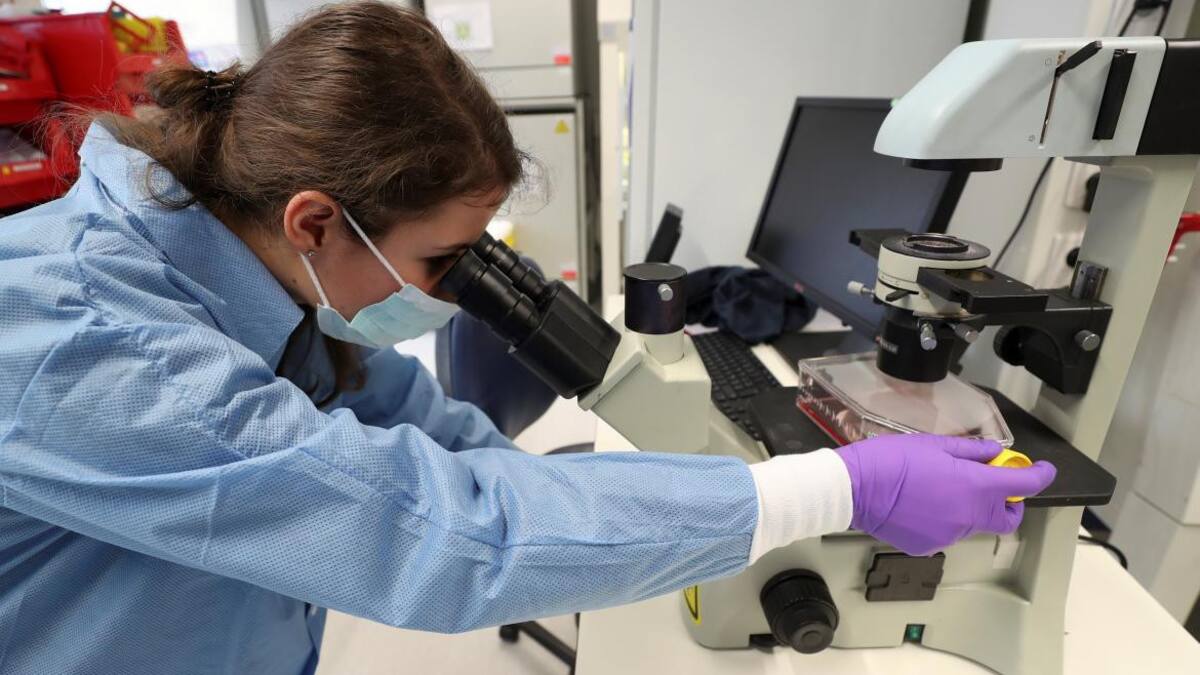 Coronavirus, búsqueda de cura, REUTERS