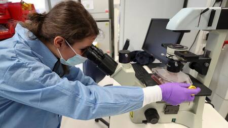 Coronavirus, búsqueda de cura, REUTERS