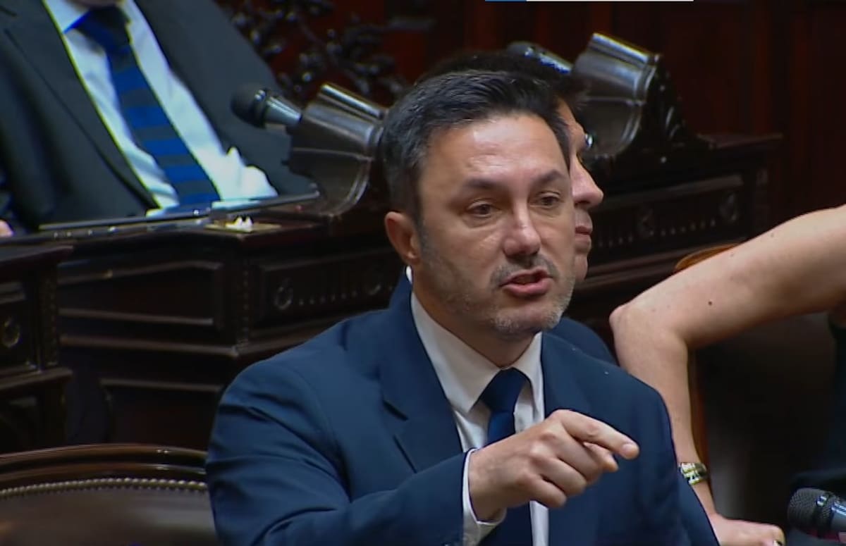Luis Petri en la Cámara de Diputados