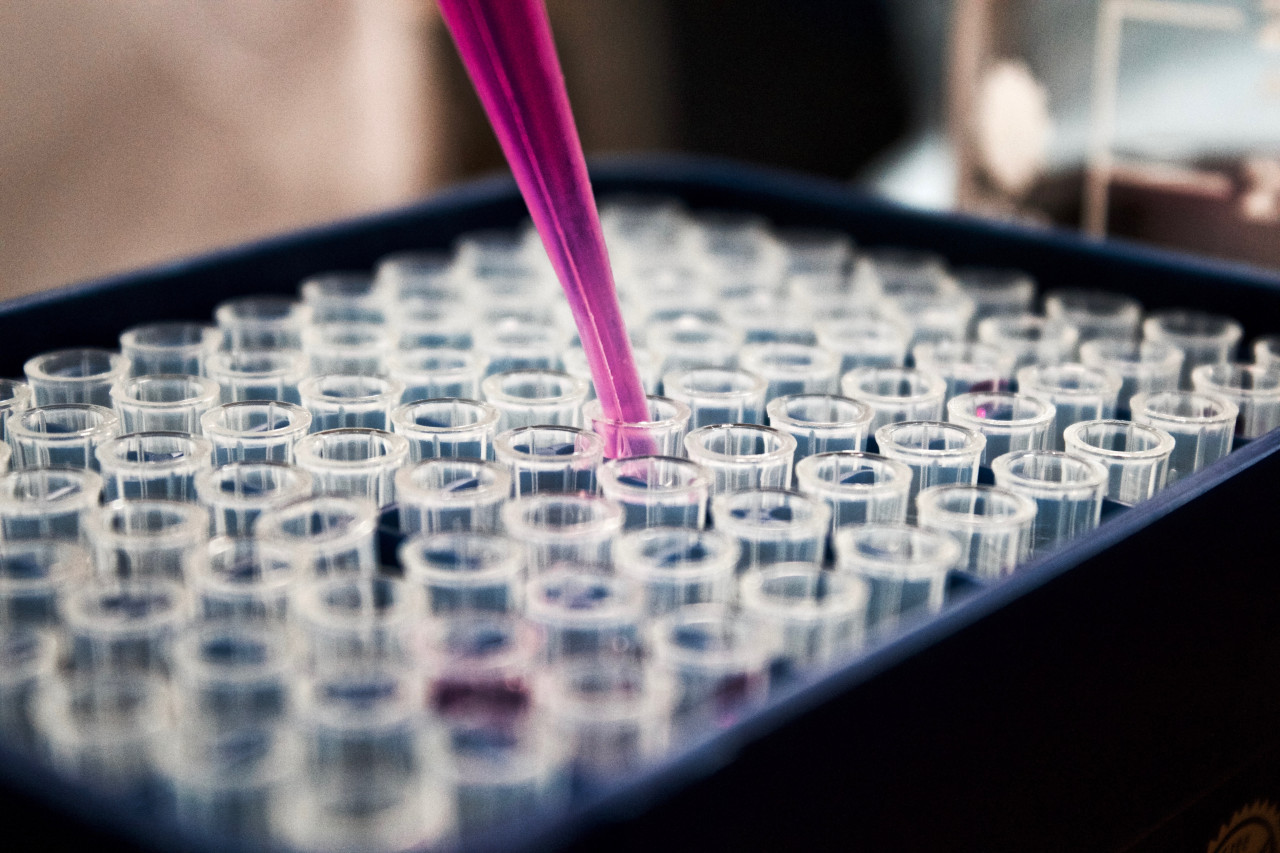 Chequeos médicos. Foto: Unsplash.