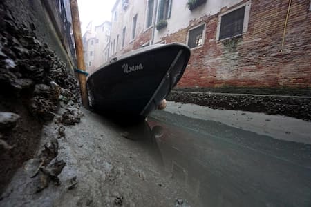 Venecia sufre la sequía de sus canales: de qué se trata el fenómeno. EFE