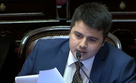 Juan Cruz Godoy, senador de La Libertad Avanza