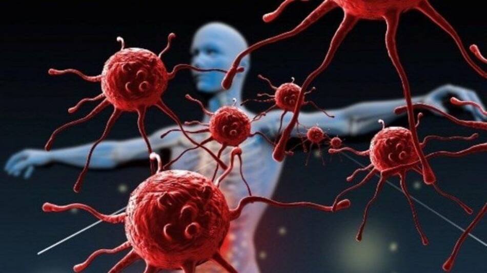 Sistema inmunológico, foto genérica.