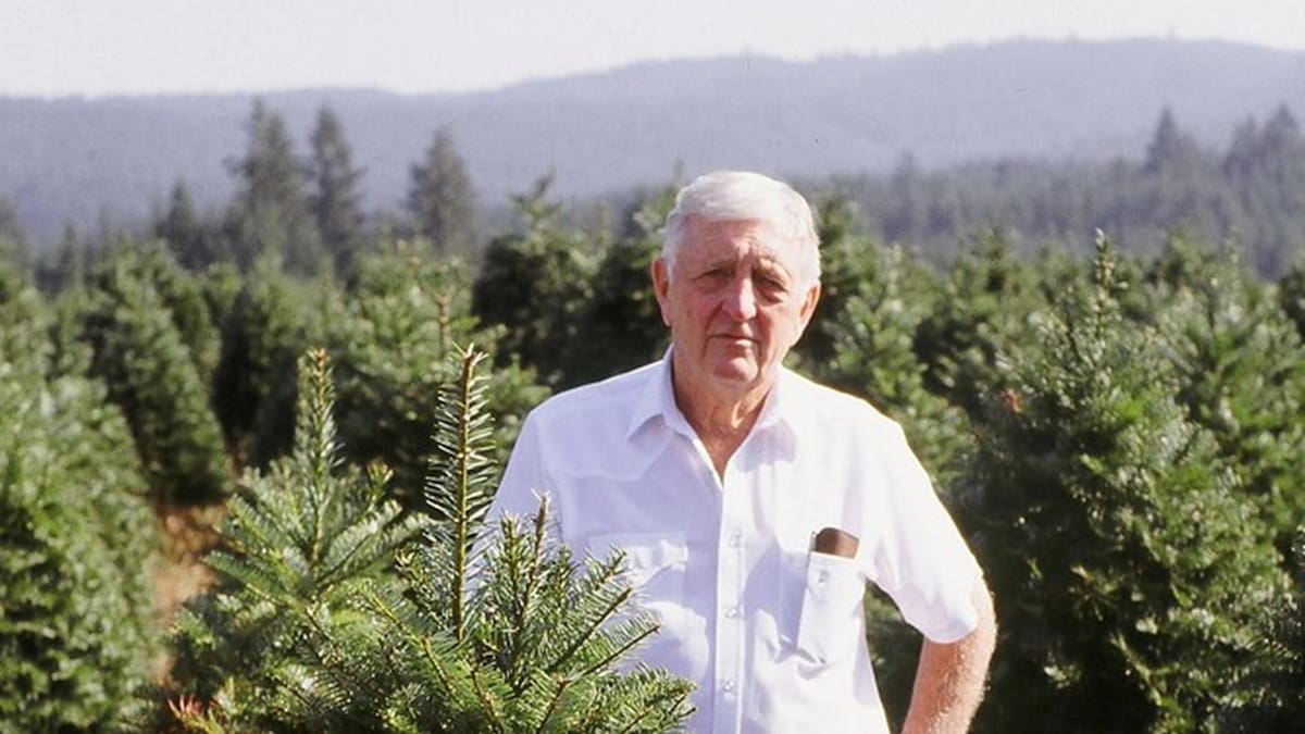 En 1955, un soldado de la Segunda Guerra Mundial plantó 121 hectáreas con árboles de Navidad: 71 años después, su empresa vende más de un millón de ejemplares por temporada