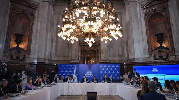 El Senado formalizó la sesión para convertir en ley los proyectos de Presupuesto 2026 y de Inocencia Fiscal