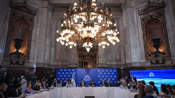 “Creo que están los votos para aprobarlo”: el comentario de una senadora dialoguista de cara a la sesión por el Presupuesto 2026