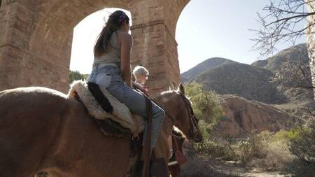 Buenos Aires, Iguazú y Mendoza son los destinos más elegidos. Foto: NA.