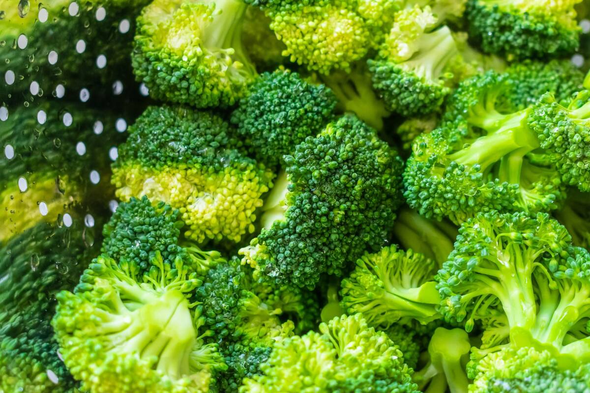 Brócoli. Foto: Freepik.