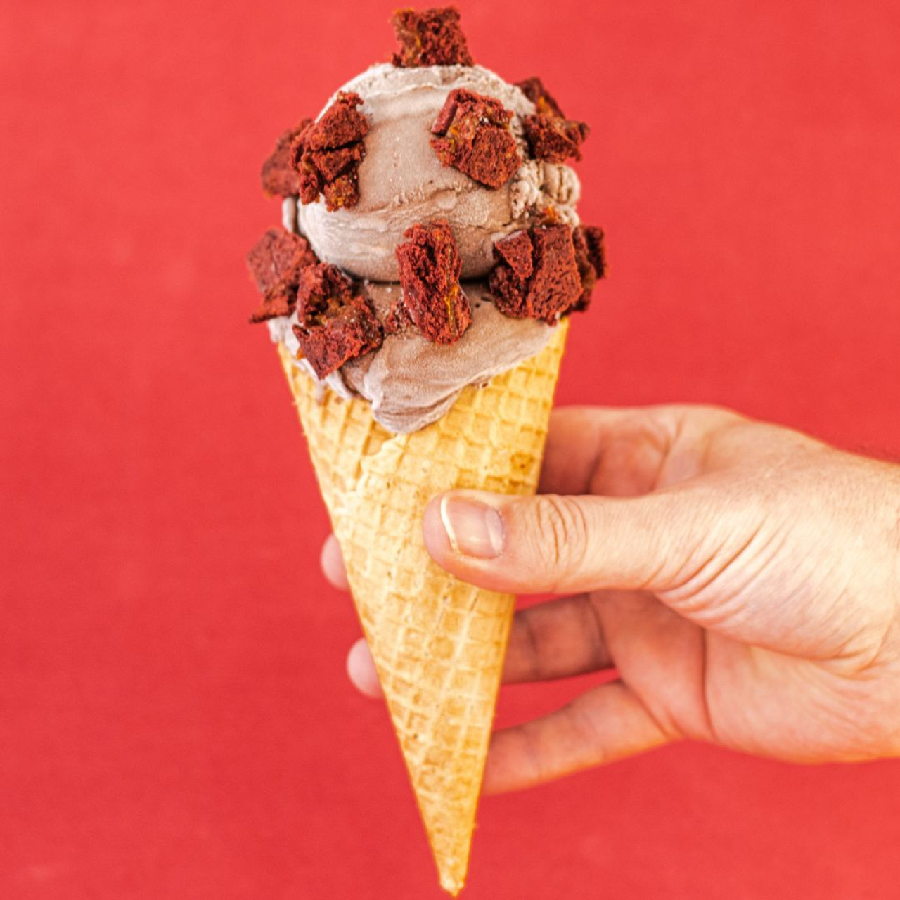 Helados Flamingo. Foto: Heladería Flamingo