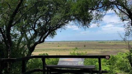 Parque Nacional Ciervo de los Pantanos, una belleza natural a pocas horas de CABA. Foto: Argentina La Ruta Natural