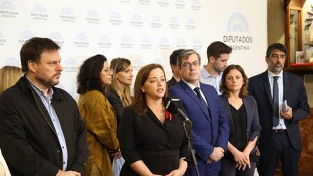 Cecilia Moreau en Diputados. Foto: NA.