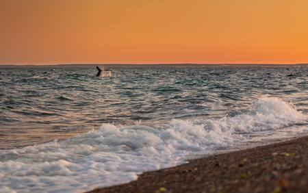 Playa Las Canteras, Chubut. Foto: Google Maps.