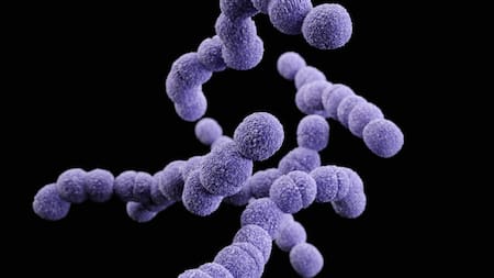 El atlas genómico del cáncer colorrectal podría ayudar a los tratamientos de esta enfermedad. Foto: Unsplash.