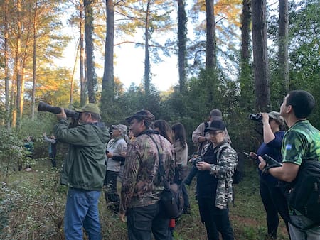 Observación de aves.