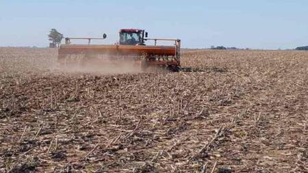 Entre Ríos emergencia agropecuaria