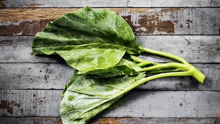 ¿Por qué es ideal cocinar la acelga al vapor?. Foto: Freepik.