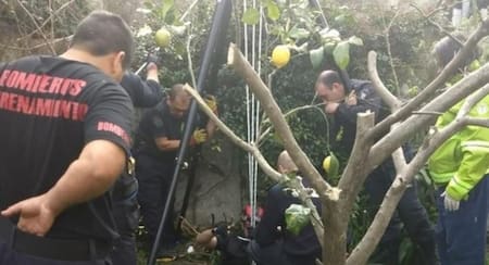 Rescate a anciana - La Plata