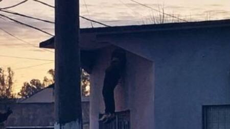 Delincuente fallecido al intentar ingresar a una casa. Foto: NA.