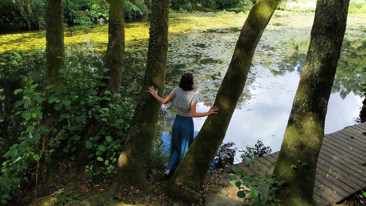 Se buscan voluntarios para vivir en un hermoso camping portugués.