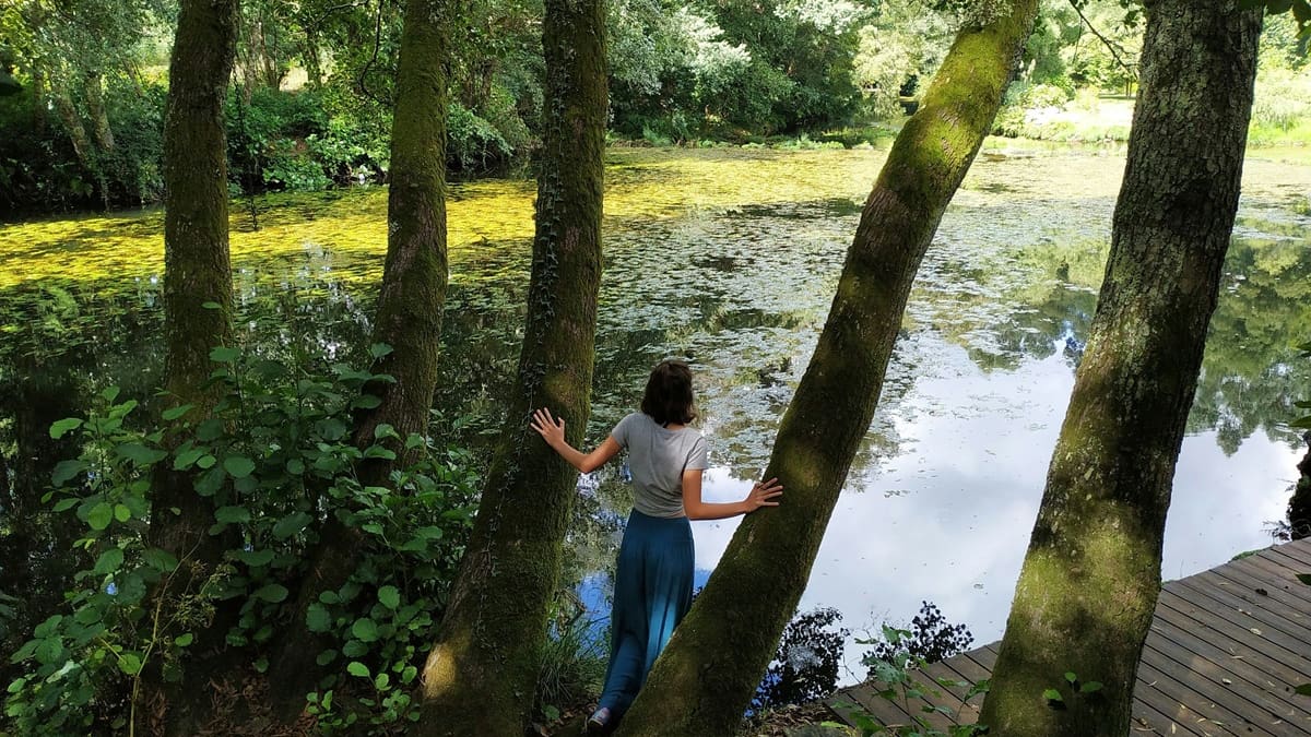Se buscan voluntarios para vivir en un hermoso camping portugués: ofrecen 3 comidas y solo piden 25 horas de trabajo semanales