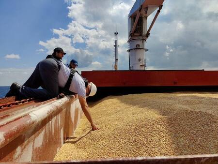 Cereales en el Mar Negro. Foto: Reuters.