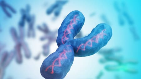 Cromosoma Y. Foto: @monteronacho