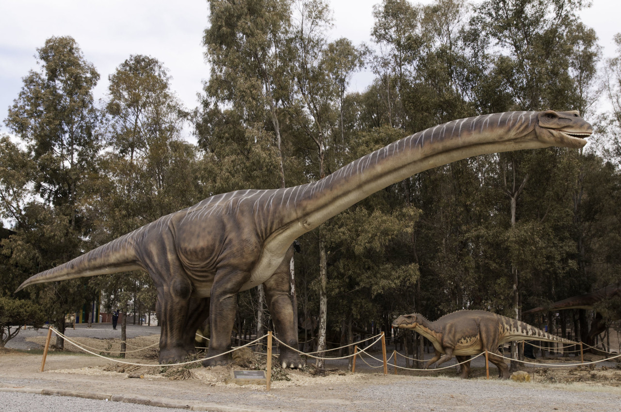 Argentinosaurus Huinculensis. Foto: Ministerio de Ciencia/Flickr