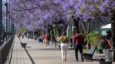 Vuelve el calor a Buenos Aires: qué día de la semana se registrarán las temperaturas más altas
