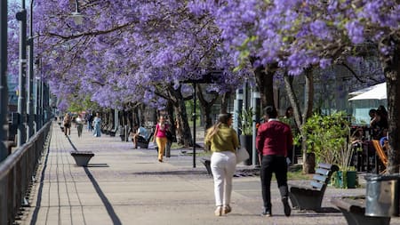Vuelve el calor a la Ciudad.