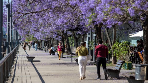Vuelve el calor a Buenos Aires: qué día de la semana se registrarán las temperaturas más altas