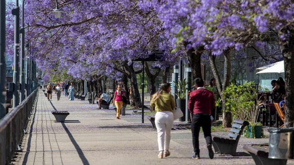 Vuelve el calor a la Ciudad.