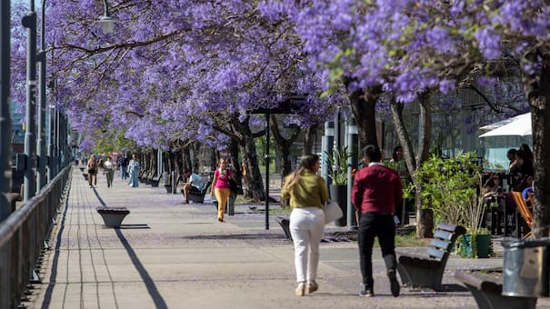 Se vienen días de calor en la Ciudad: cómo estará el clima en Buenos Aires el resto de la semana, según el pronóstico