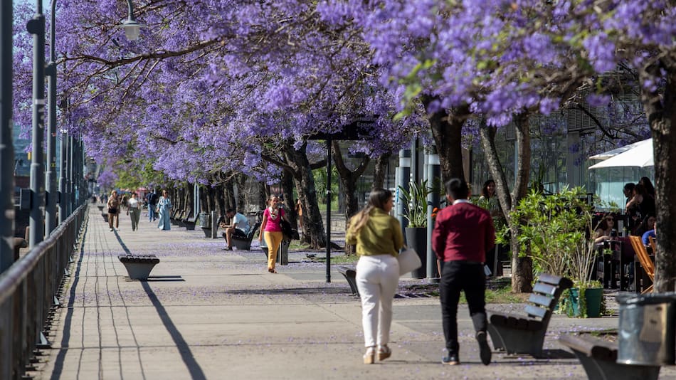 Vuelve el calor a la Ciudad.